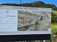 Le Pouce - Unforgettable peak in Mauritius 
