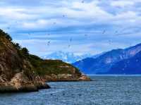 ❄️ Glacier Bay National Park – Alaska’s Living Ice Kingdom