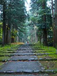 神秘的な参道 杉と石畳を覆う苔に魅了されます。