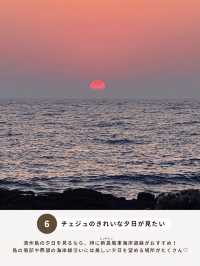 済州島でやりたいこと 7選🏝️