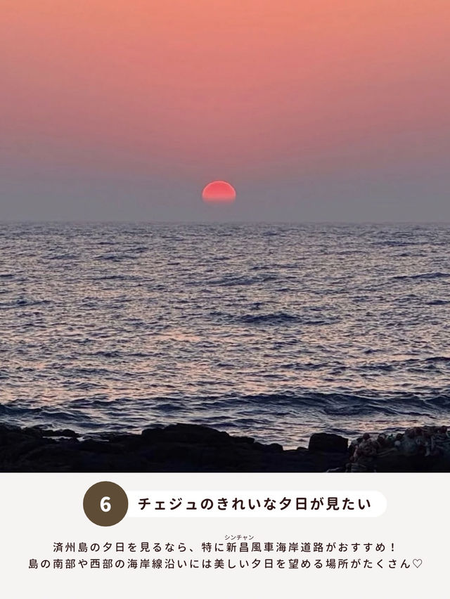 済州島でやりたいこと 7選🏝️