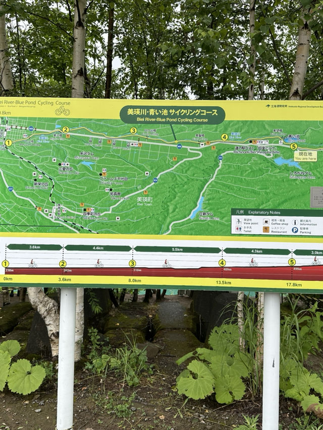北海道美瑛町—拓真館