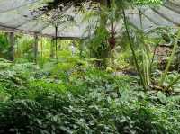 Garden of the Sleeping Giant