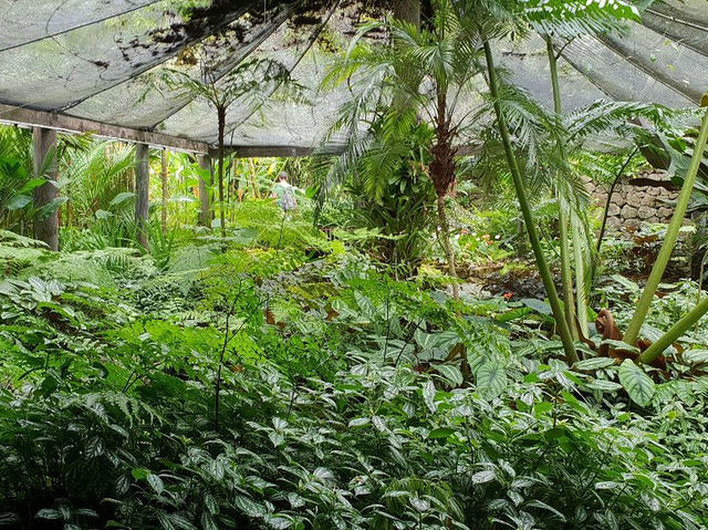 Garden of the Sleeping Giant