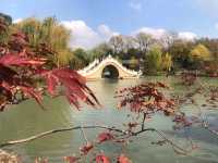Yangzhou Gem🌳