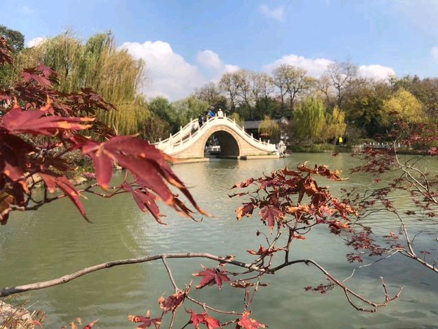 Yangzhou Gem🌳 Yangzhou Gem🌳