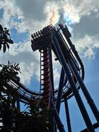 Busch Gardens Tampa Bay