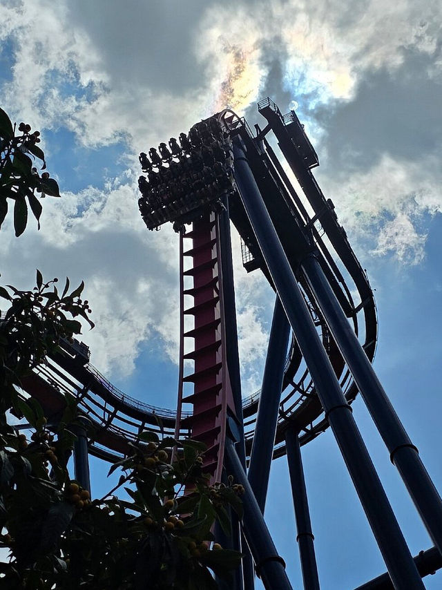 Busch Gardens Tampa Bay