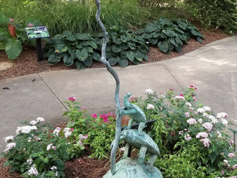 Huntsville Botanical Garden Huntsville Botanical Garden