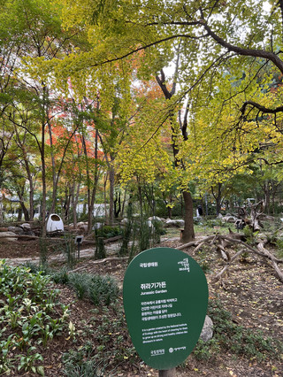 🍂捕捉秋日美景
