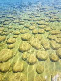 Lake Clifton Thrombolites: Earth's Ancient Life Forms