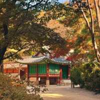 🏛️ Jongmyo Shrine – Seoul’s Timeless Confucian Heritage