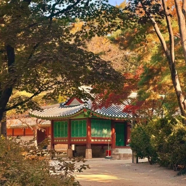 🏛️ Jongmyo Shrine – Seoul’s Timeless Confucian Heritage