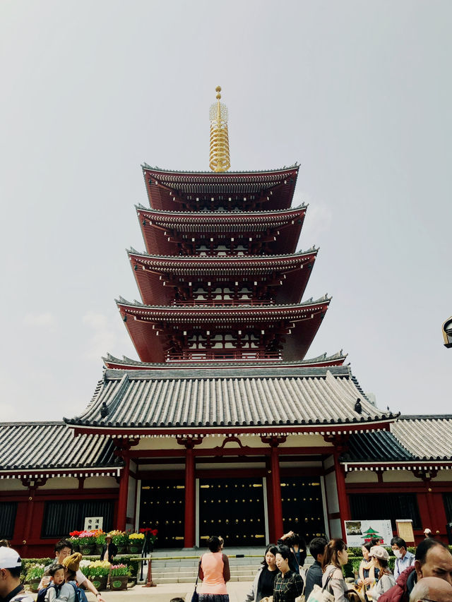  🌸 Sakura Dreams in Tokyo: A Springtime Escape 🌸