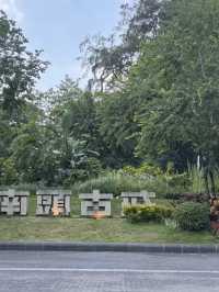 Strolling Around Shenzhen 🍂