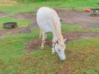 ์ ์ฃผ์ฌํ ์ถ์ฒ ์ฝ์ค ๐์ฐ๋ฐฉ์ฐ