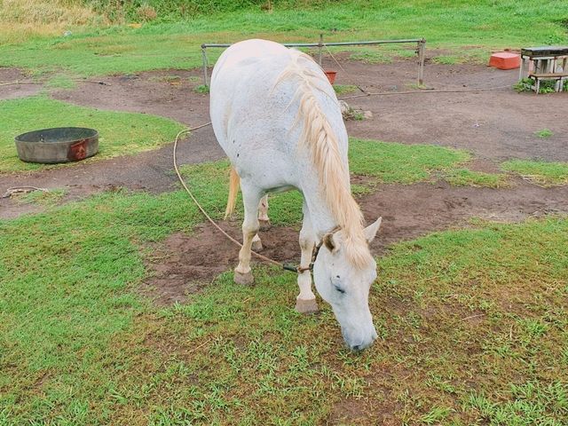 ์ ์ฃผ์ฌํ ์ถ์ฒ ์ฝ์ค ๐์ฐ๋ฐฉ์ฐ ์ ์ฃผ์ฌํ ์ถ์ฒ ์ฝ์ค ๐์ฐ๋ฐฉ์ฐ