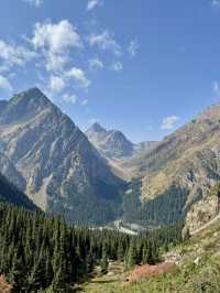  텐트 밖은 천국