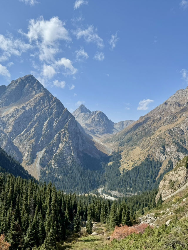  텐트 밖은 천국