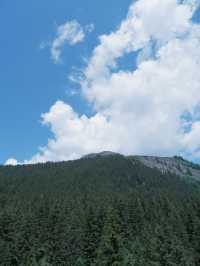 瑞士First菲斯特：主要景點 