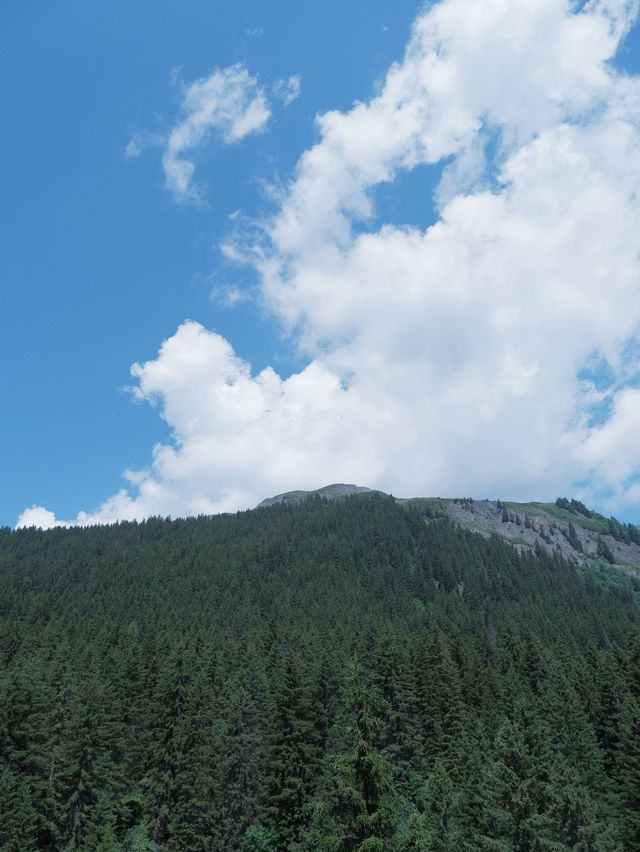 瑞士First菲斯特：主要景點 