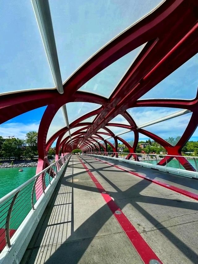 🌿 Prince’s Island Park – Calgary’s Most Beautiful Urban Oasis