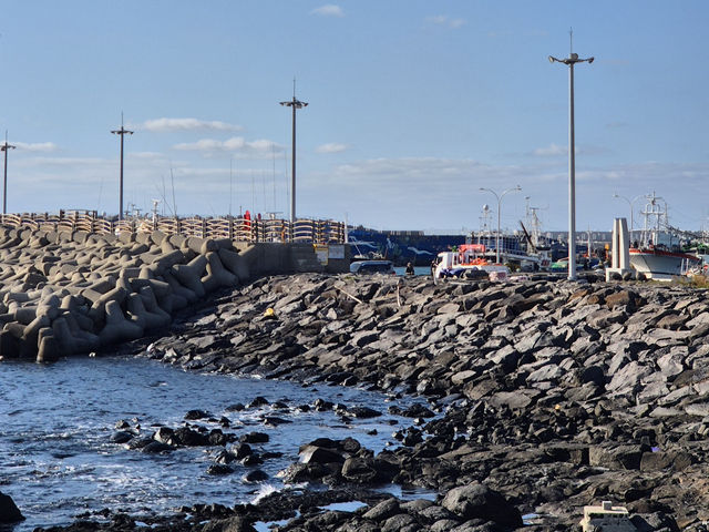 🌅 제주 2박 3일 여행 일정 가이드 🏝️