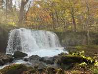 跟著松尾芭蕉的足跡～東北奧之細道賞楓