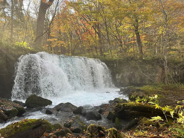 跟著松尾芭蕉的足跡～東北奧之細道賞楓
