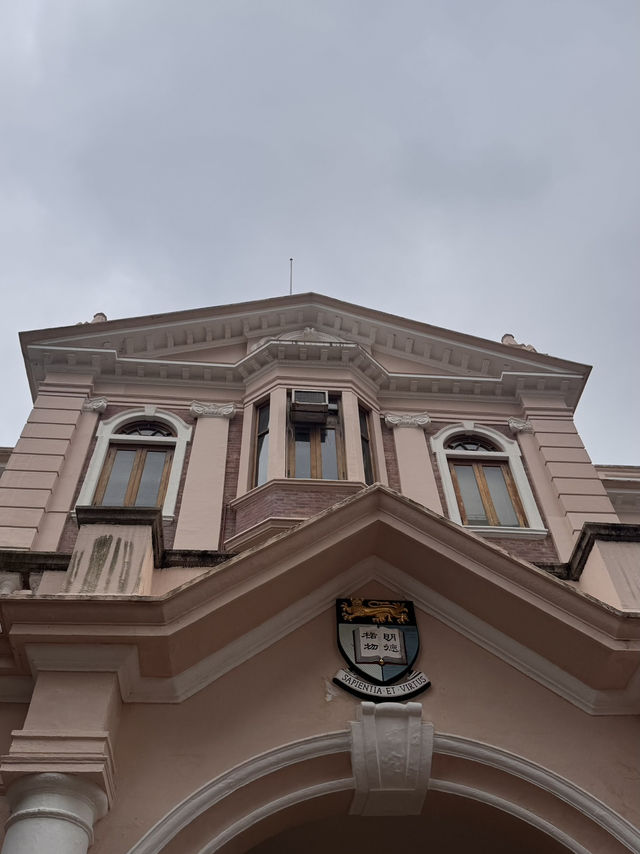 Campus Daydream☀️  