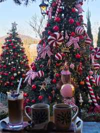 🌳🎄인천 로즈스텔라정원 ❄️