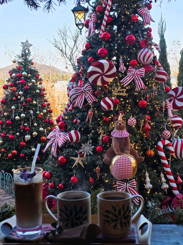 🌳🎄인천 로즈스텔라정원 ❄️