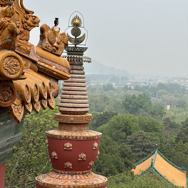 Summer Palace Stroll 🌞 Summer Palace Stroll 🌞