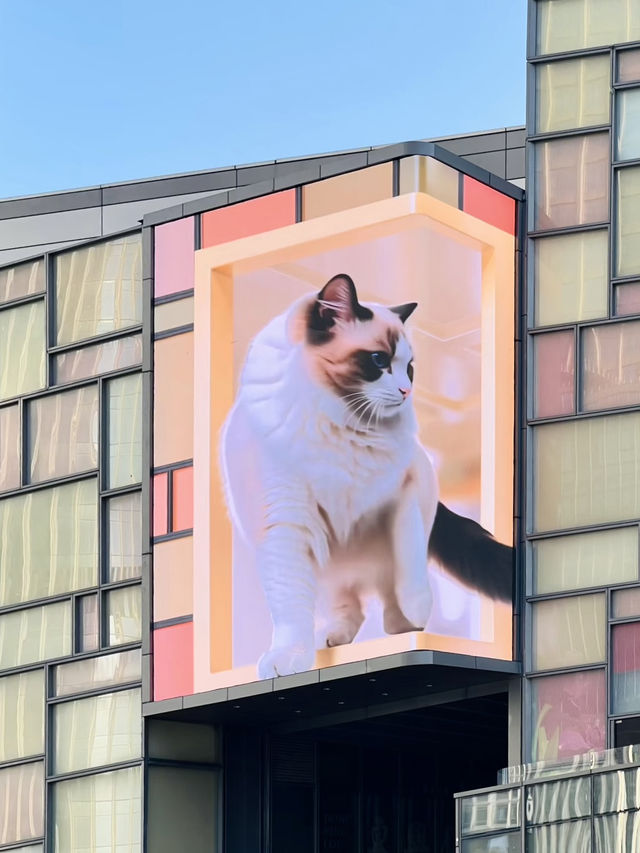 深圳最好逛的不愧是商場💕深圳灣萬象城二期根本逛不完 深圳最好逛的不愧是商場💕深圳灣萬象城二期根本逛不完