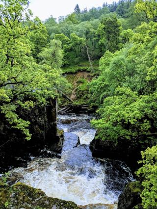 Nature Meets History: Bracklinn Falls Bridge 🏞️