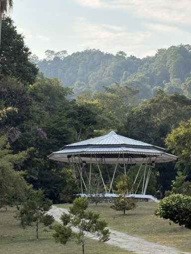 ペナン植物園へ。 | Trip.com ペナン島北東部
