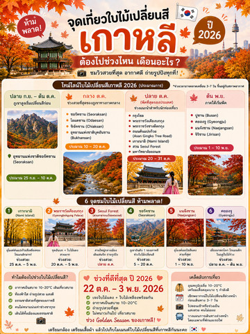 🍁🇰🇷2026年に韓国の紅葉を楽しむのに最適な時期はいつですか