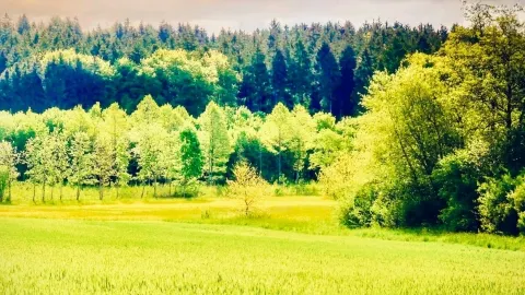Ireland Glendalough Monastic City to Wicklow Gap Deer Meadow Path — Free Park, €5 Museum, €0 Deer — traveler post in Bray