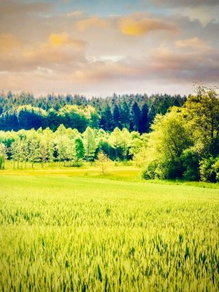 Ireland Glendalough Monastic City to Wicklow Gap Deer Meadow Path — Free Park, €5 Museum, €0 Deer