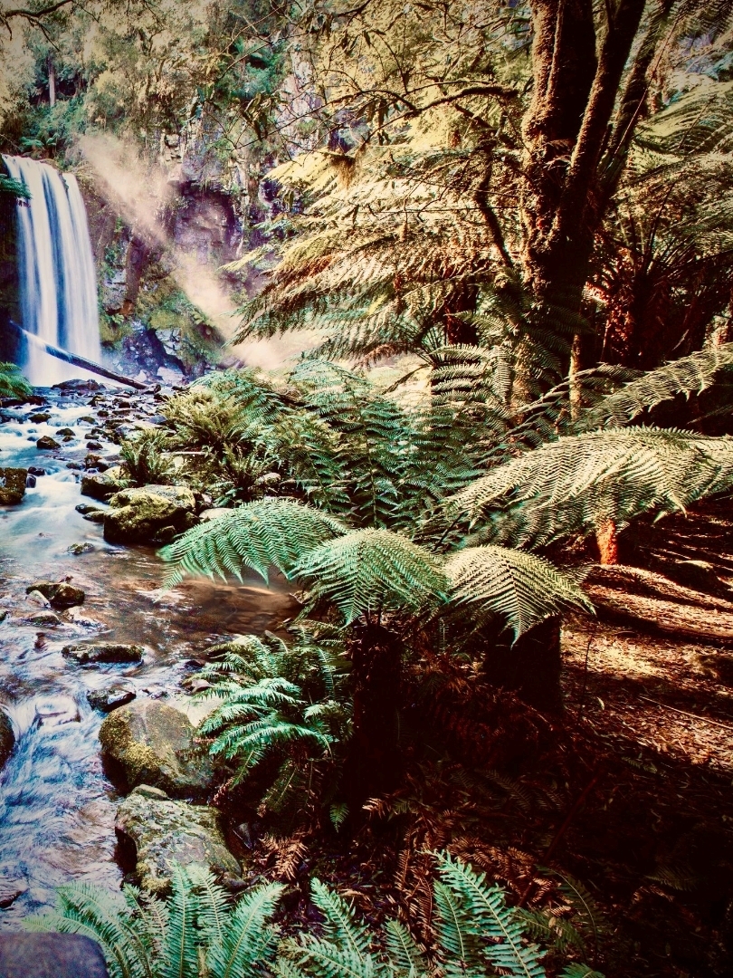 New Zealand West Coast Paparoa Truman Track Mossy Coastal Foresteasytravelpost