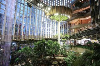 Step Into the Woods | The Ring Shopping Park.