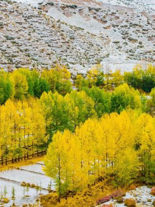 ❄️ Early Autumn at Yanzhi Mountain | A Sudden Touch of Winter