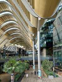 When a Building Feels Like a Work of Art