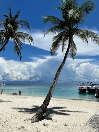 Pulau Perhentian: Pulau Tropis Impian Malaysia 🏝️

Perairan biru kehijauan, pantai berpasir putih halus, dan terumbu karang berwarna-warni — Pulau Perhentian adalah salah satu tempat liburan tropis terindah di Malaysia. Terletak di lepas pantai Terengganu, surga pulau ini sangat cocok untuk wisatawan yang mencari laut jernih, petualangan laut, dan gaya hidup pulau yang lebih santai.

🌊 Perairan Jernih & Pantai Indah

Hal pertama yang akan Anda perhatikan di Pulau Perhentian adalah warna laut yang luar biasa. Nuansa biru kehijauan dan biru tua membentang di sepanjang garis pantai, menciptakan pemandangan tropis yang sempurna.

Habiskan pagi hari bersantai di pantai, berenang di laut yang hangat, atau sekadar menikmati suasana pulau yang damai. Long Beach adalah salah satu tempat paling populer, terutama bagi wisatawan yang menikmati suasana pantai yang ramai, sementara sudut-sudut pulau yang lebih tenang menawarkan pelarian yang lebih damai.

🤿 Surga untuk Snorkeling

Pulau Perhentian adalah destinasi impian bagi pecinta snorkeling. Perairan di sekitarnya adalah rumah bagi terumbu karang berwarna-warni dan beragam kehidupan laut tropis.

Ikuti perjalanan snorkeling dan temukan ikan-ikan berwarna cerah berenang di sekitar taman karang. Dengan sedikit keberuntungan, Anda bahkan mungkin bertemu dengan penyu laut yang bergerak anggun di air biru jernih.

Bagi banyak pengunjung, berenang di samping penyu laut menjadi salah satu momen tak terlupakan dalam petualangan pulau mereka.

🐢 Jelajahi Dunia Laut

Di luar pantai, Pulau Perhentian adalah tentang lautan. Perjalanan menyelam dan snorkeling memungkinkan wisatawan untuk merasakan kekayaan ekosistem bawah laut Malaysia.

Baik Anda penyelam berpengalaman atau mencoba snorkeling untuk pertama kalinya, perairan tropis yang hangat menjadikan penjelajahan dunia bawah laut sebagai pengalaman yang mengasyikkan.

🌅 Matahari Terbenam Pulau yang Ajaib

Saat sore berganti menjadi malam, temukan tempat yang nyaman di tepi pantai dan saksikan langit berubah warna.

Sinar matahari keemasan terpantul di laut sementara pulau perlahan menjadi lebih tenang. Matahari terbenam tropis di Pulau Perhentian adalah momen yang tepat untuk menyimpan ponsel Anda, menikmati angin laut, dan sekadar menikmati pemandangan.

🌴 Santai dan Nikmati Kehidupan Pulau

Salah satu hal terbaik tentang Pulau Perhentian adalah suasananya yang santai. Tidak perlu terburu-buru dari satu atraksi ke atraksi lainnya.

Bangunlah dengan suara deburan ombak, nikmati sarapan sederhana, habiskan hari dengan berenang dan snorkeling, dan akhiri malam dengan makan malam di tepi pantai.

Ini adalah jenis destinasi di mana bersantai menjadi bagian dari pengalaman.

✨ Mengapa Pulau Perhentian Layak Masuk Daftar Perjalanan Anda

Pulau Perhentian lebih dari sekadar destinasi pantai yang indah. Ini adalah tempat di mana air jernih, kehidupan laut yang berwarna-warni, pantai tropis, dan matahari terbenam yang tak terlupakan menyatu.

Baik Anda bepergian dengan teman, keluarga, atau sekadar mencari liburan pulau yang damai, Pulau Perhentian menawarkan kombinasi sempurna antara petualangan dan relaksasi.

Siapkan pakaian renang Anda, bawa kamera Anda, dan bersiaplah untuk menemukan salah satu tempat liburan pulau terindah di Malaysia. 🌊🐢

📍 Pulau Perhentian, Terengganu, Malaysia
🏝️ Wajib Dilakukan: Snorkeling • Mengamati Penyu • Menjelajah Pantai • Menyelam • Menyaksikan Matahari Terbenam

#PulauPerhentian #PerhentianIsland #MalaysiaTravel #MalaysiaHoliday #IslandEscape #TropicalParadise #BeachHoliday #Snorkelling #SeaTurtle