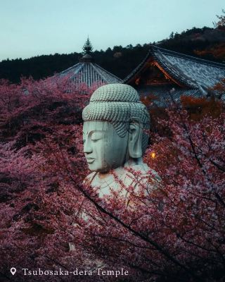 日本5個讓你嘆為觀止的旅遊景點🇯🇵✨