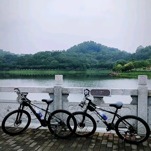 Mountain Forest Cycling 