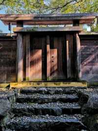 Nagoya's most sacred Shrine ⛩ 