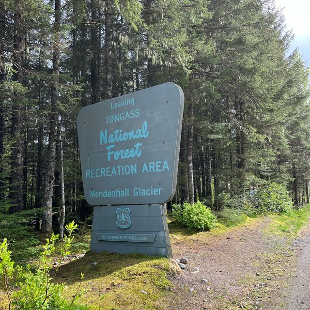 Juneau and Mendenhall Glacier