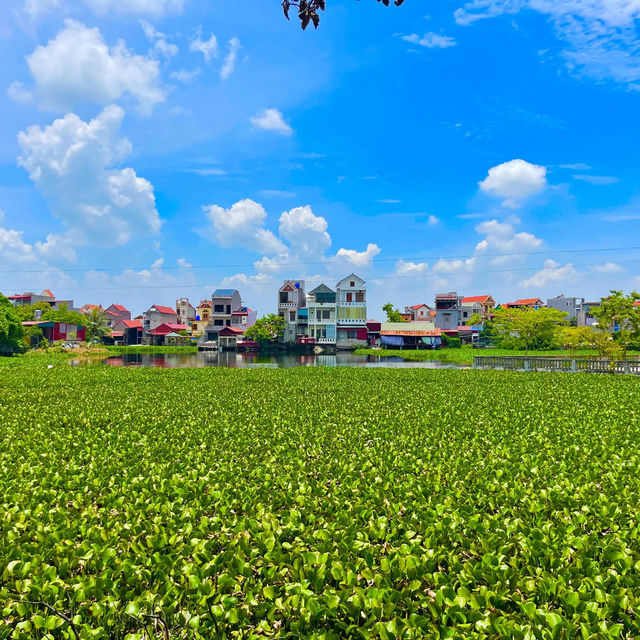 Here in TP Hai Duong Vietnam 