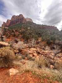 Zion, Landscapes you have to see to believe! 